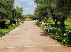 Marrakech | Chwiter