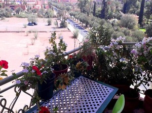 Marrakech | Hivernage