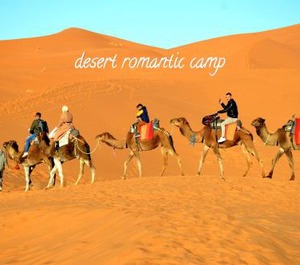 Desert Camp 