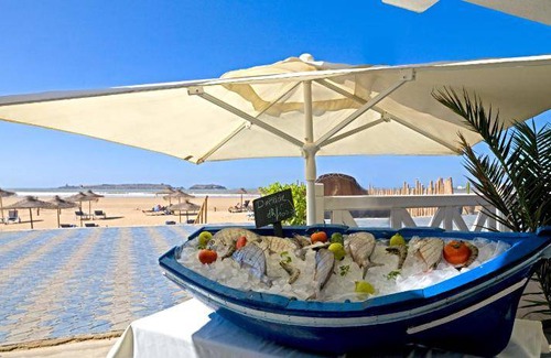 Essaouira Coast Hotel | 120 m² Hotel ∙ 2 bedrooms ∙ 127 guests