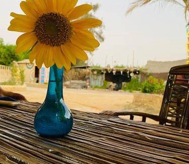 Tunis Village Bed & Breakfast | 20 m² Bed and breakfast ∙ 3 guests