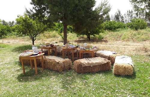 Ben Khalled Cottage | Country house in Cap Bon