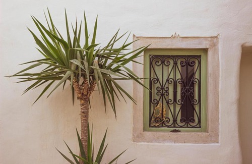 Erriadh Villa | Dar Shams