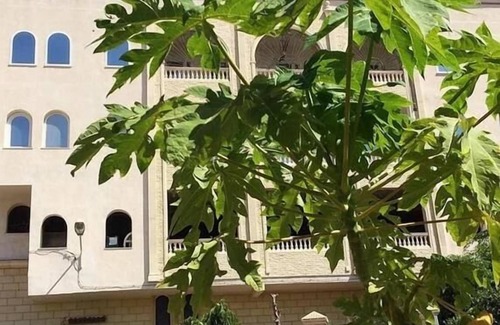 Sousse Apartment | hammam antistress