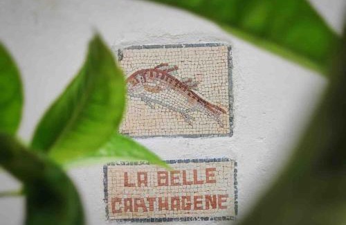 Amilcar House | La Belle Carthagene