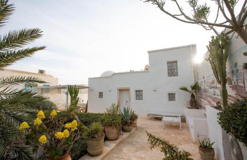Erriadh Villa | La Maison Blanche -Les Houchs De Djerba