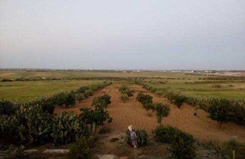 Sidi El Heni Resort | Private room ∙ 2 guests