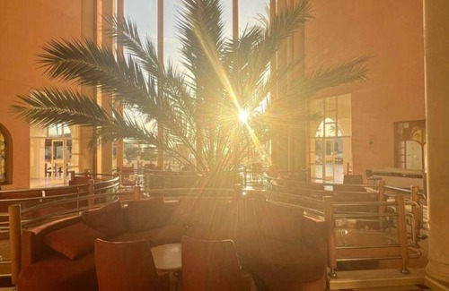 1e Arrondissement Zarzis Ville Hotel | 50 m² Hotel ∙ 127 guests