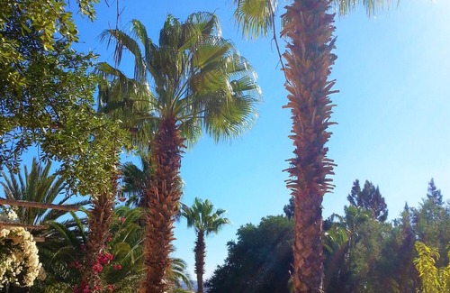 Ida Ougourd Villa | Villa of 1001 nights in the countryside, for 14 people.