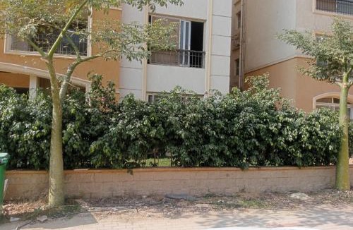 The 5th Settlement Apartment | استون رايذدنس