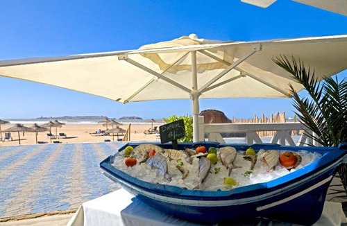 Essaouira Coast Hotel | 120 m² Hotel ∙ 2 bedrooms ∙ 127 guests