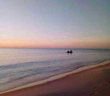 Hammamet Apartment | 5min de la zone touristique 400metre de la plage appartement chic S plus 1