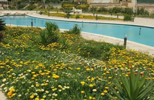 New Cairo House | Apartment in a villa with pool and garden