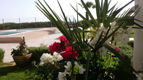 Tantana House | Beach Front Luxury Living Apartment