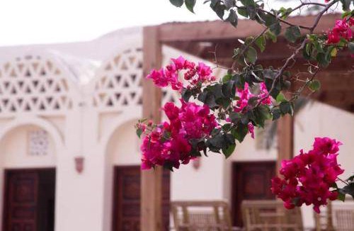 Tunis Village Bed & Breakfast | Bed and breakfast ∙ 10 guests