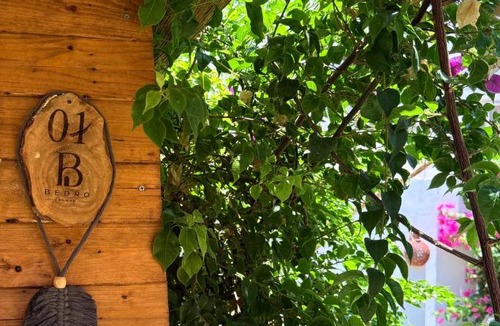 Dahab Cabin | Bedro Garden Cabin - Private Cabin 30s to Beach