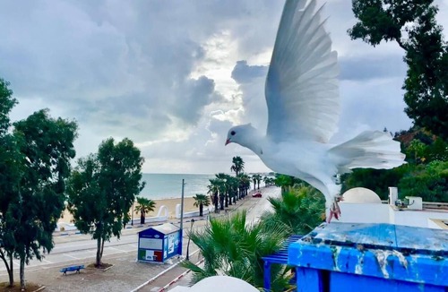 Sidi Bou Said House | BLUE SKY SIDI BOUSAID