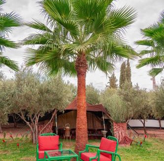 El Aggada Bed & Breakfast | Bungalow with Pool View & Breakfast