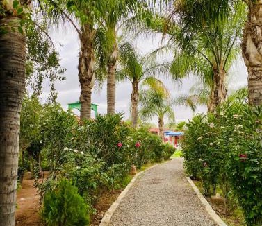El Aggada Bed & Breakfast | Bungalow with Pool View & Breakfast