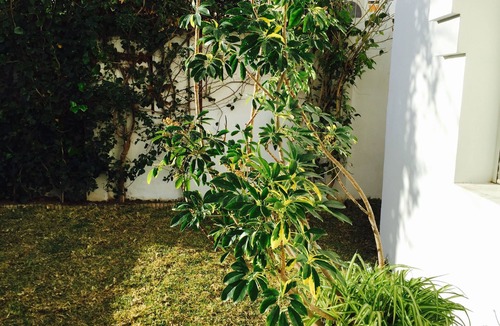Carthage House | CARTHAGE VILLA WITH WIFI