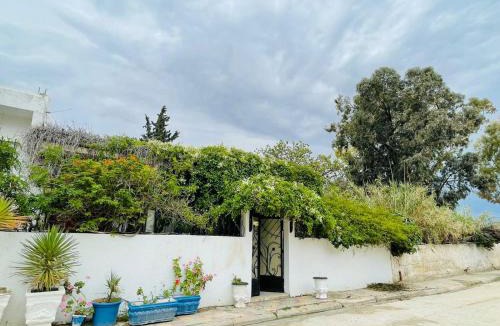 Le Kef House | Casa Zitouna - Guest House - Kef, Tunisia