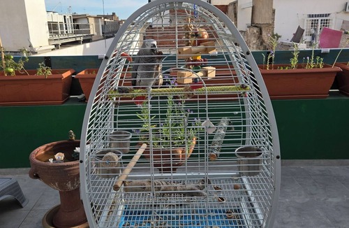 Sousse Apartment | Charming 4room Apartment in the Heart of Sousse