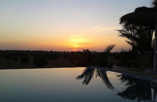 Djerba Ajim Villa | Charming Oriental Villa overlooking our private, not overlooked olive grove