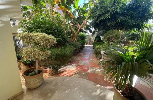 Chott Mariem Apartment | Cozy apartment Chatt Meriem