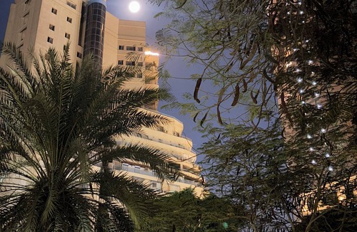 Garden City House | Cozy stay in prime central of Cairo, Green & Nile View.