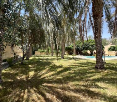 Degache House | Dar dguech