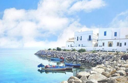Borj Erras House | Dar Douja - A proximité de la mer