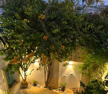 Borj Erras Bed & Breakfast | Dar El Mahdia by Daldoul