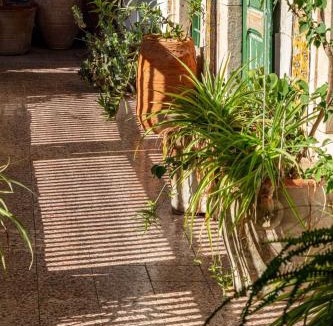 El Gorjani House | Dar Hayder-la Medina
