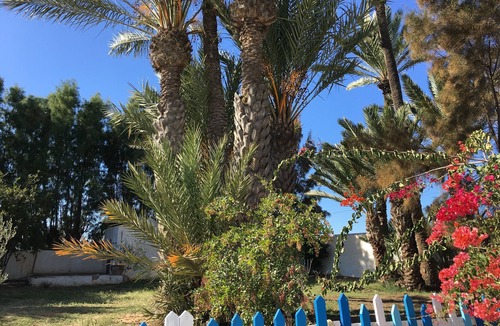 Arkou House | DAR NEJMA TO DJERBA PRIVATIZED ONLY FOR YOU