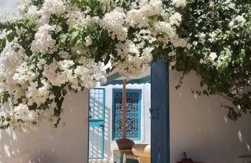 Djerba Midun House | Djerbahouch