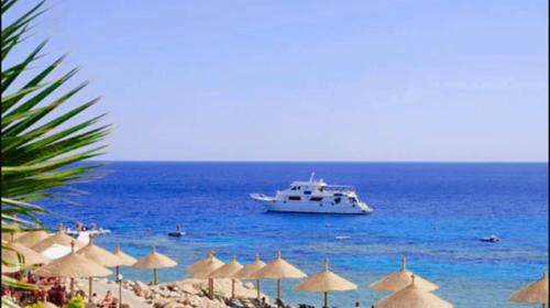 Sharm El Sheikh Apartment | Domina Coral Bay Resort appartament