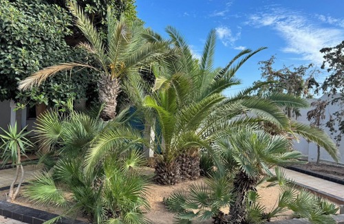 Mezraia House | Esmeralda Djerba Casino