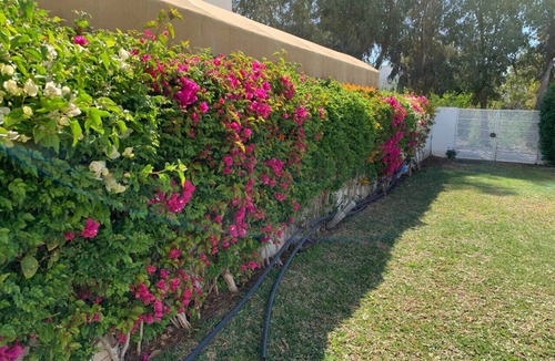 Korba Villa | Green villa 3 minutes to the beach on foot