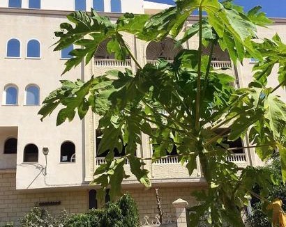 Sousse Apartment | Hammam Antistress