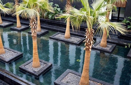 Ain Zaghouan Apartment | Harmony Haven II : Apartment with Pool & Gym