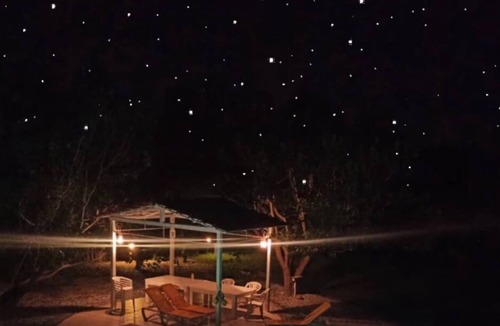 Ras Jebel Villa | Holiday Homes -- In the Heart of the Forest