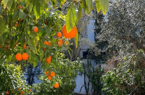 Tunis Hostel | Hostel ∙ 8 guests