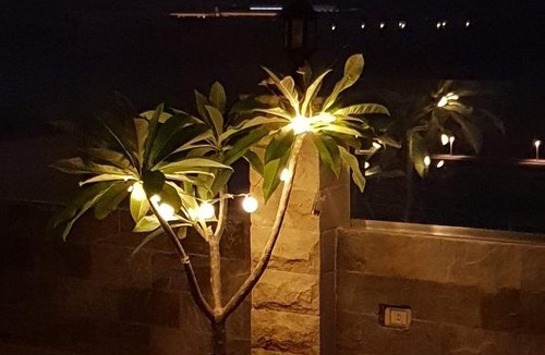 Pyramids Gardens Apartment | Hostel Pyramids View