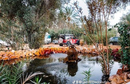 Ksar Ghilane Hotel | Hotel Pansy