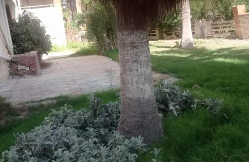 Ad-Dukhaylah Apartment | Isis shahrazad sea view studio in Alexandria