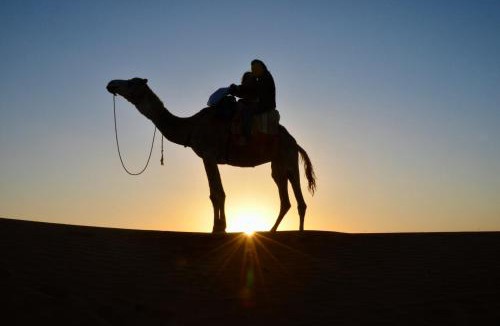 Rissani Other | Jardin Kotori -Small Desert Camp in Merzouga