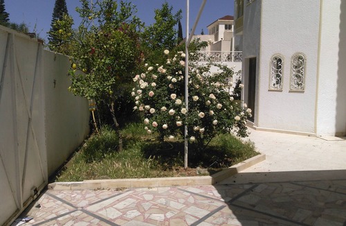 Hammam Sousse Apartment | Kantaoui; Ideal Location, Magnificent Apartment for Couple or Family; Wireless