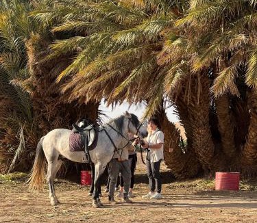 Hassilabied Other | Ksar Merzouga Camp
