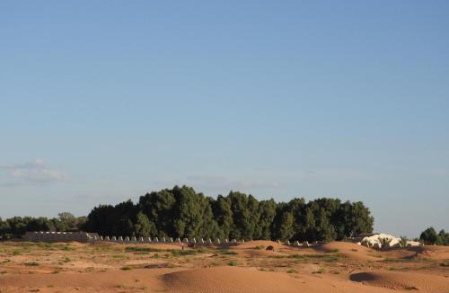 Ksar Ghilane Hotel | L'Oasis