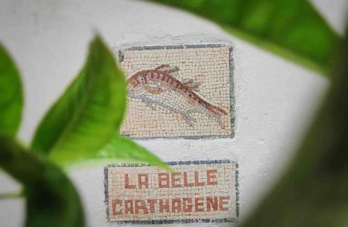 Amilcar House | La Belle Carthagene